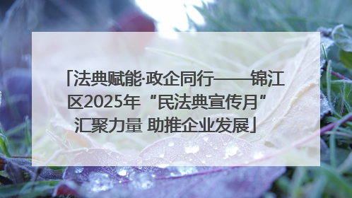 法典赋能·政企同行——锦江区2025年“民法典宣传月”汇聚力量 助推企业发展