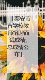 泰安市直学校教师招聘面试成绩、总成绩公布