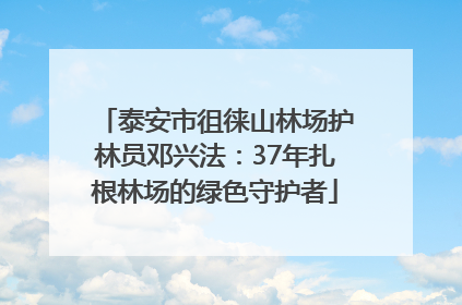 泰安市徂徕山林场护林员邓兴法：37年扎根林场的绿色守护者