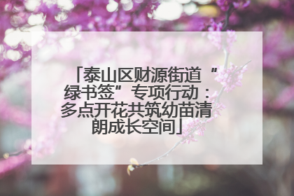 泰山区财源街道“绿书签”专项行动：多点开花共筑幼苗清朗成长空间