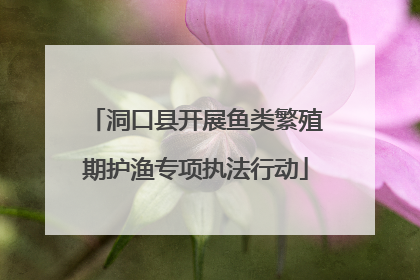 洞口县开展鱼类繁殖期护渔专项执法行动