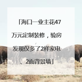 海口一业主花47万元定制装修，验房发现仅多了2样家电、2面背景墙
