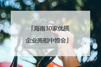 海南30家优质企业亮相中博会