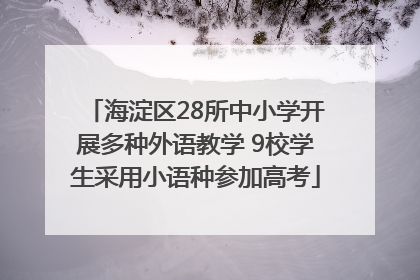 海淀区28所中小学开展多种外语教学 9校学生采用小语种参加高考