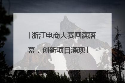 浙江电商大赛圆满落幕，创新项目涌现