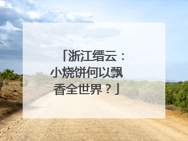 浙江缙云：小烧饼何以飘香全世界？