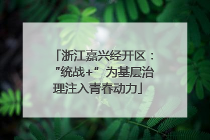 浙江嘉兴经开区：“统战+”为基层治理注入青春动力