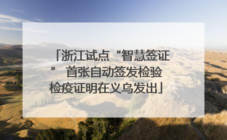 浙江试点“智慧签证” 首张自动签发检验检疫证明在义乌发出