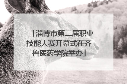 淄博市第二届职业技能大赛开幕式在齐鲁医药学院举办