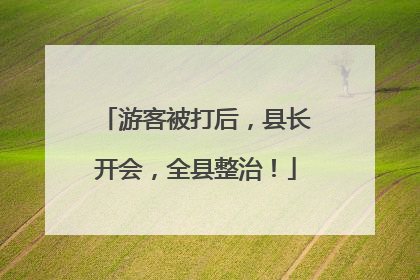 游客被打后，县长开会，全县整治！