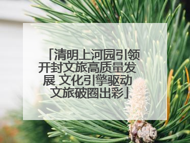清明上河园引领开封文旅高质量发展 文化引擎驱动 文旅破圈出彩