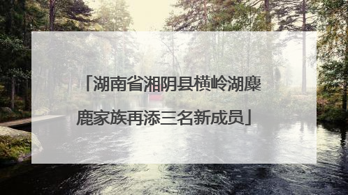 湖南省湘阴县横岭湖麋鹿家族再添三名新成员