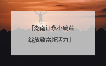 湖南江永小碗莲绽放致富新活力