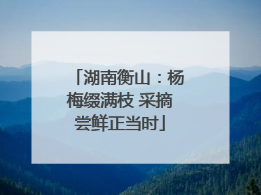 湖南衡山：杨梅缀满枝 采摘尝鲜正当时