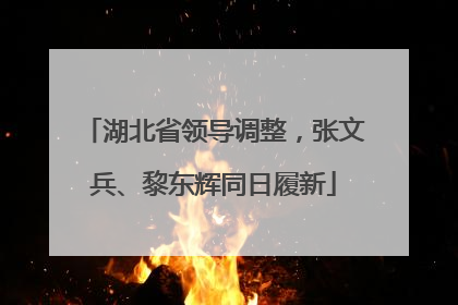 湖北省领导调整，张文兵、黎东辉同日履新