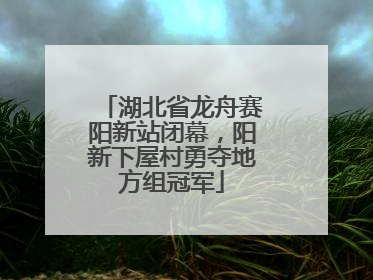 湖北省龙舟赛阳新站闭幕，阳新下屋村勇夺地方组冠军