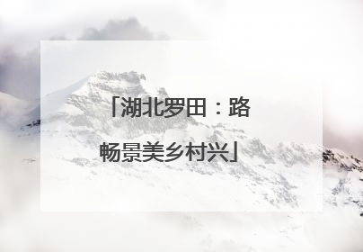 湖北罗田：路畅景美乡村兴
