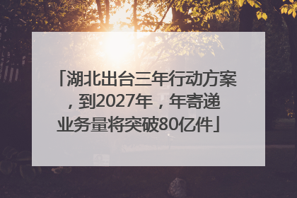 湖北出台三年行动方案，到2027年，年寄递业务量将突破80亿件