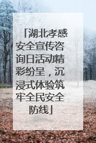 湖北孝感安全宣传咨询日活动精彩纷呈，沉浸式体验筑牢全民安全防线