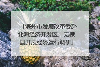 滨州市发展改革委赴北海经济开发区、无棣县开展经济运行调研