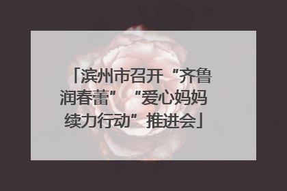 滨州市召开“齐鲁润春蕾”“爱心妈妈续力行动”推进会