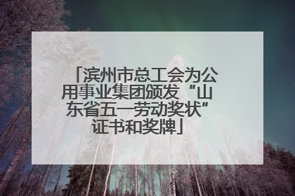 滨州市总工会为公用事业集团颁发“山东省五一劳动奖状”证书和奖牌