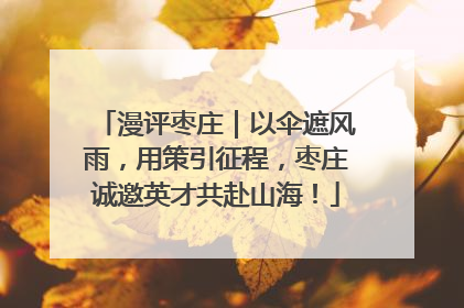 漫评枣庄｜以伞遮风雨，用策引征程，枣庄诚邀英才共赴山海！