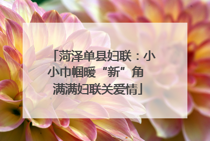 菏泽单县妇联：小小巾帼暖“新”角 满满妇联关爱情