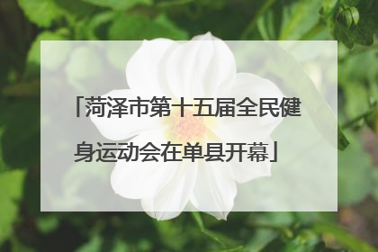 菏泽市第十五届全民健身运动会在单县开幕