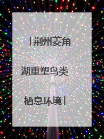 荆州菱角湖重塑鸟类栖息环境