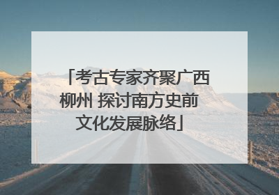 考古专家齐聚广西柳州 探讨南方史前文化发展脉络