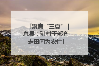 聚焦“三夏”｜息县：驻村干部奔走田间为农忙