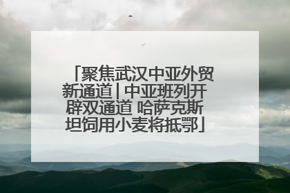 聚焦武汉中亚外贸新通道│中亚班列开辟双通道 哈萨克斯坦饲用小麦将抵鄂