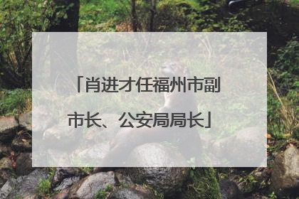 肖进才任福州市副市长、公安局局长