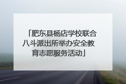 肥东县杨店学校联合八斗派出所举办安全教育志愿服务活动