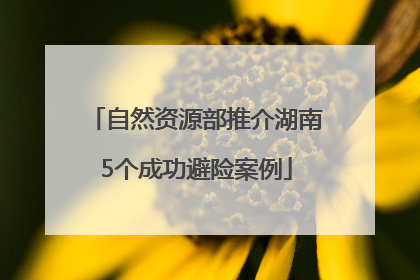 自然资源部推介湖南5个成功避险案例