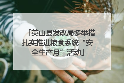 英山县发改局多举措扎实推进粮食系统“安全生产月”活动