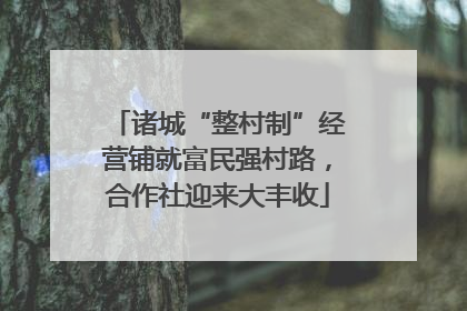 诸城“整村制”经营铺就富民强村路，合作社迎来大丰收