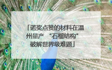 诺奖点赞的材料在温州量产 “石榴结构”破解世界级难题