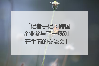 记者手记：跨国企业参与了一场别开生面的交流会