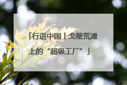 行进中国丨戈壁荒滩上的“超级工厂”
