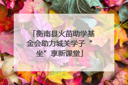 衡南县火苗助学基金会助力城关学子“坐”享新课堂