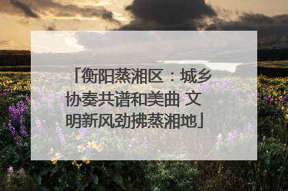 衡阳蒸湘区：城乡协奏共谱和美曲 文明新风劲拂蒸湘地