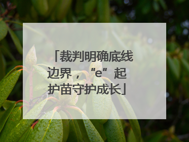 裁判明确底线边界，“e”起护苗守护成长