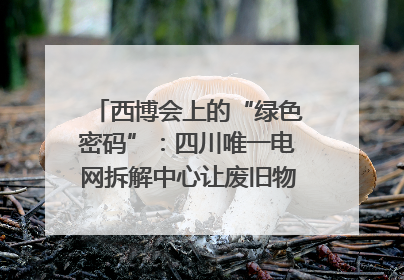 西博会上的“绿色密码”：四川唯一电网拆解中心让废旧物资“重生”｜西博寻“新”记
