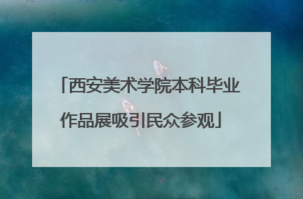 西安美术学院本科毕业作品展吸引民众参观