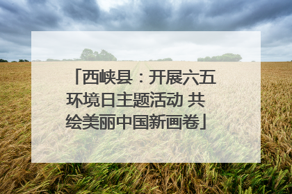 西峡县：开展六五环境日主题活动 共绘美丽中国新画卷