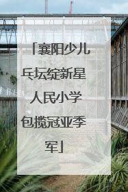 襄阳少儿乓坛绽新星 人民小学包揽冠亚季军