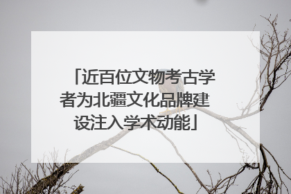 近百位文物考古学者为北疆文化品牌建设注入学术动能