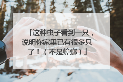 这种虫子看到一只，说明你家里已有很多只了！（不是蟑螂）